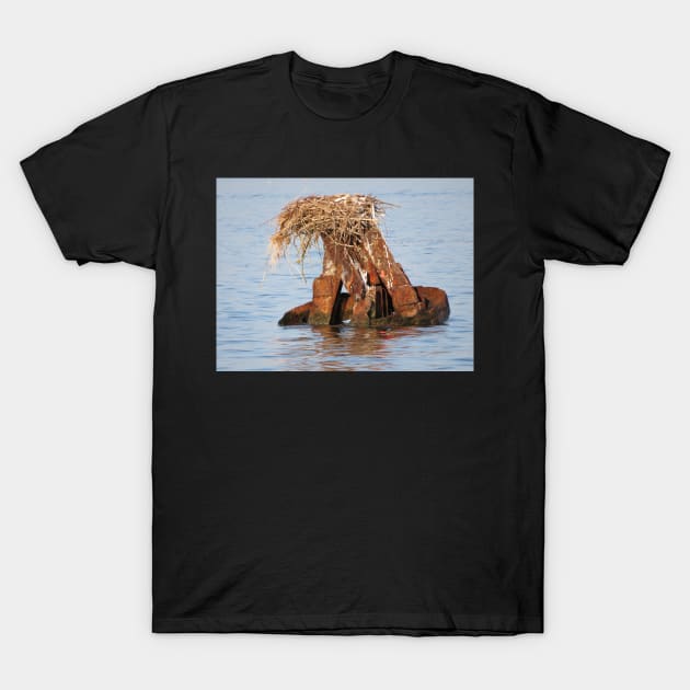 Rusted Buoy T-Shirt by ToniaDelozier